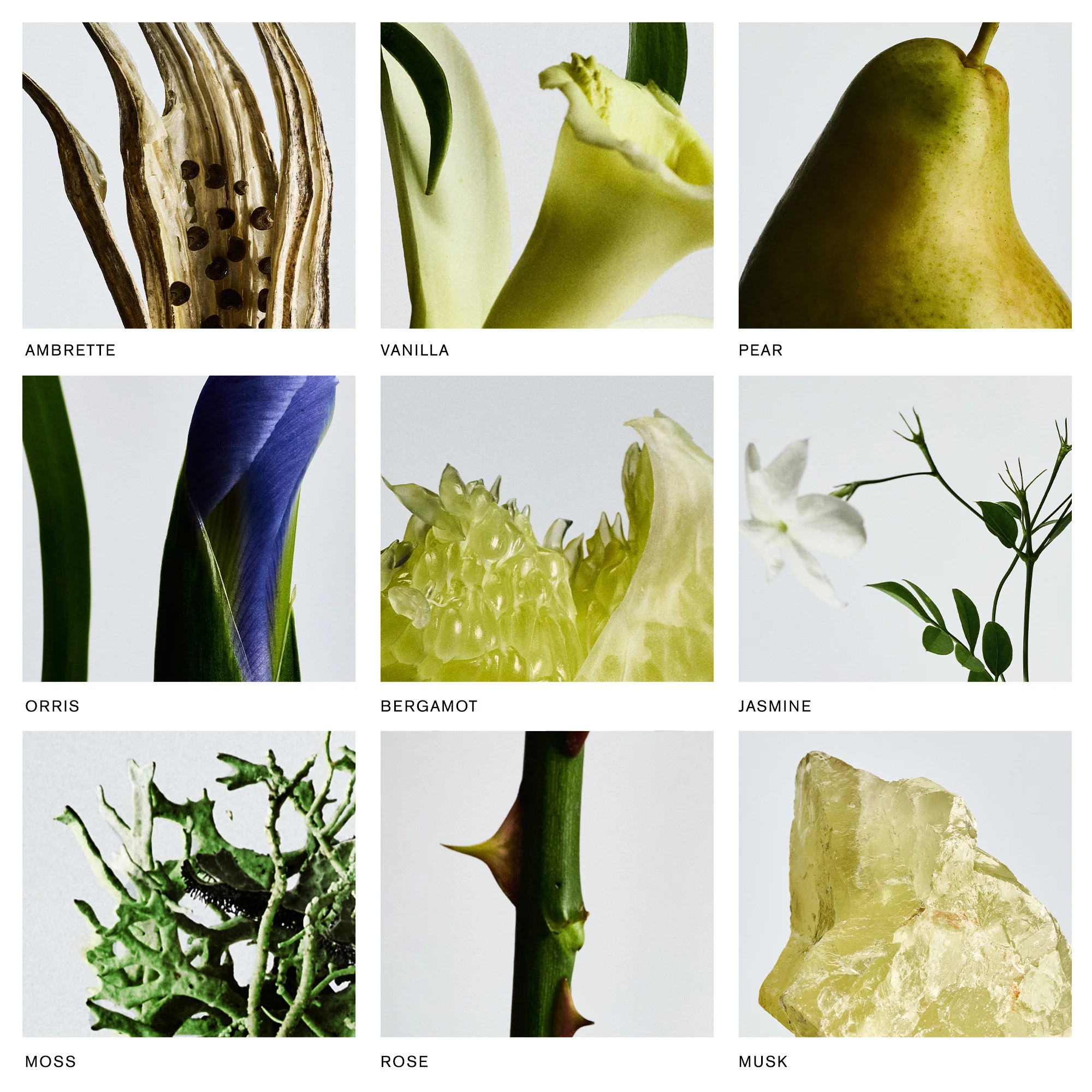 Retrospect - Image 6